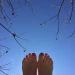 Laurie Halverson - @lauriejoyhalverson - Instagram