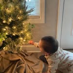 Lisa Joy Halverson - @halver1 - Instagram