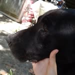 @joyhammer69 - Instagram