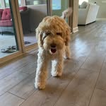 Harbour Joy - @harbourjoy_thesweetestgirl - Instagram