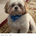 Maximillian Hardeman - @joyce_hardeman - Instagram
