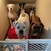 Joy Autry Hardin - Facebook