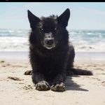 Joy Hayes - @cherry.dashing - Instagram