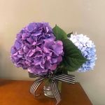 Joy Glenn Helms - @joyglennhelms - Instagram