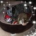 Joy Hendrickson - Facebook