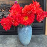 Betsy Hinkle - @hinklebjoy - Instagram
