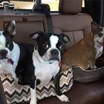 Joy Chapman Hinkle - @gram1025 - Instagram
