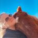 Joy Hinkle Keen - Facebook