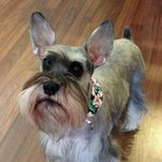 Joy Hobbs - @joyride64 - Instagram