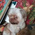 Joy Hoffman - @hoffman.joy - Instagram