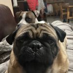 Joy Holley - @joyholley.5222 - Instagram