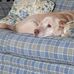 Joy Horn - Facebook