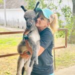Joy Horn - @joyhorn21 - Instagram