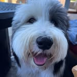Joy H - @joy.horner - Instagram