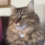 Joy Horner - @tpzbug7 - Instagram