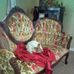 Joy Houser - Facebook