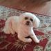Joyce Jankowski - Facebook