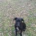Joy Jobe - Facebook