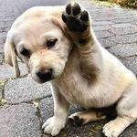 joy Juárez - @joyjuarez66 - Instagram