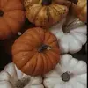 Joy Kane - @joy.kane324 - TikTok