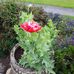 Joy Keating - Facebook