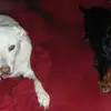 joykeaton880 - @joykeaton880 - TikTok
