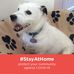 Joy Keene - Facebook