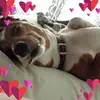 Joy Kent - @joykent1 - TikTok