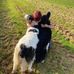 Joy Keys - Facebook