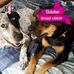 Joy Kinney - Facebook