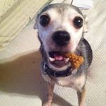 Joyce Kinney - @joykinney65 - Instagram