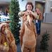 Joy Kipp - Facebook