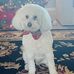 Joy Knowles - Facebook