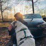 Joy Koch - @joy.kch - Instagram