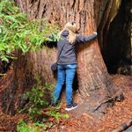 Joy Whitney Koch - @joykoch433 - Instagram