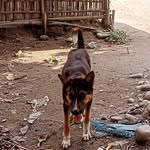 xzxzxzxzxzxzxzxz - @joy__la__boy_09 - Instagram