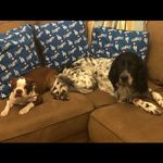 Lacy And Joy Leight - @lacy_joy.adventures - Instagram