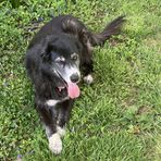 Joy Lederman - Facebook