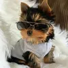 joeylamprecht183 - @joeylamprecht183 - TikTok