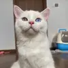 Hoàng Phát - @joylandry367 - TikTok