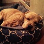 Josie Joy Langley - @stinkygirljojo - Instagram