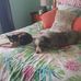Joy Latimer - Facebook