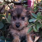 Joy Laurie - @joy.laurie.73 - Instagram