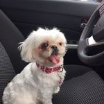 Joy - @joylevinger - Instagram