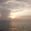 Joy_Levin22 - @joy_levin22 - TikTok