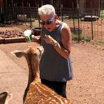Joy Levin Kleiman - @joylevinkleiman - Instagram