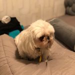 Joy Levinger - @joy.levinger - Instagram