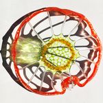 Joy Levins Glass - @joylevinsglass - Instagram