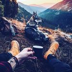 Levin Joy - @levin_joy - Instagram