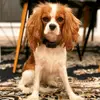 joy linder - @joy.linder0 - TikTok